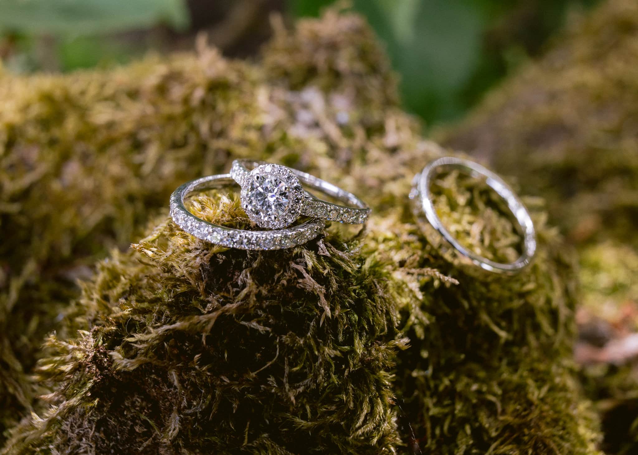 Wedding Rings diamond on moss photo